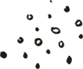 https://novakarierarecruitment.com/wp-content/uploads/2020/08/floating_image_02.png